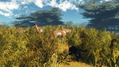 Afrique_6 - Art numerique - Cactus42 Afrique_6 - Art numerique - Cactus42