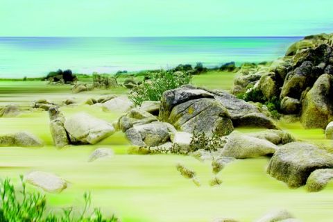 L'artiste jean-marcel coulombeau - plage de la trinitee sur mer