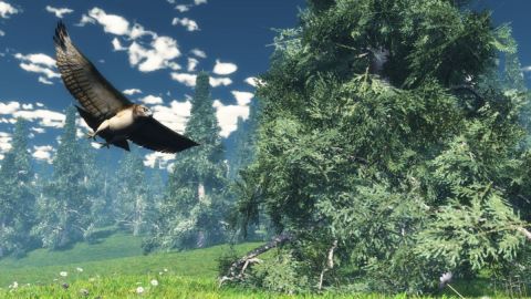 Le faucon_1 - Art numerique - Cactus42 Le faucon_1 - Art numerique - Cactus42