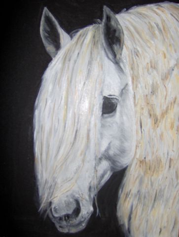 L'artiste labordeayral - cheval blanc