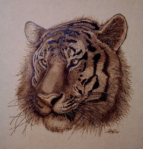 L'artiste HOTOP - Tiger Khan