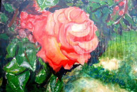 L'artiste Luigina - rose eclose