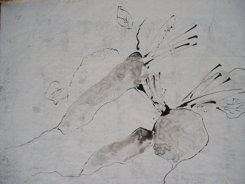 radis blancs - Peinture - Mireille Barrelle
