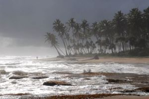 Voir cette oeuvre de oliwood: La mousson  approche sur la plage de galle