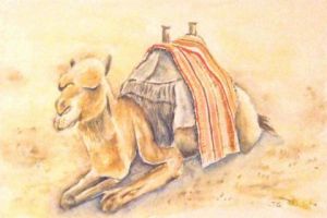 Voir cette oeuvre de guyjean: chameau