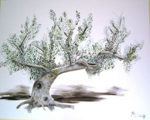 Voir le détail de cette oeuvre: L'olivier de Djerba