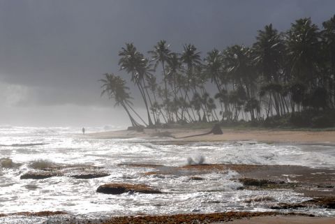 L'artiste oliwood - La mousson  approche sur la plage de galle