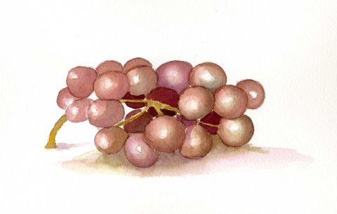 grappe de raisin - Peinture - patricia