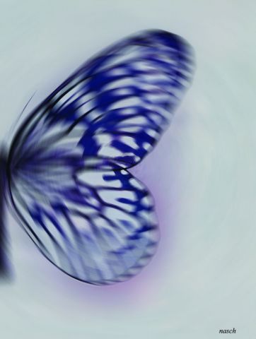 papillon se pose - Art numerique - nasch