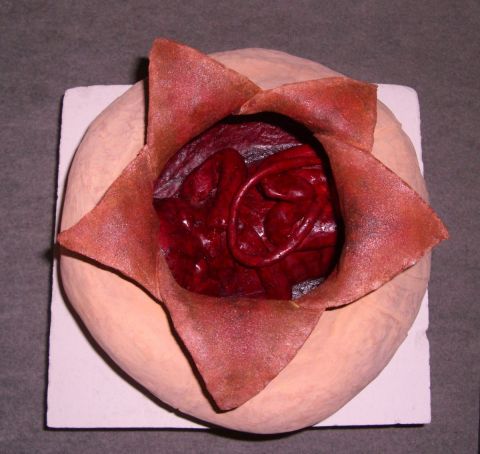 graine de - Peinture - kennerson graine de - Peinture - kennerson