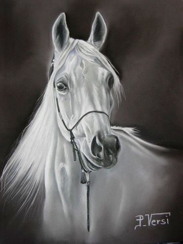 Le cheval blanc - Peinture - Philippe  Versi