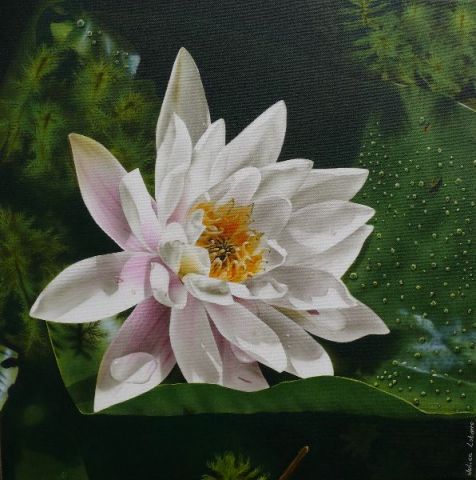 lotus - Peinture - julien labarre