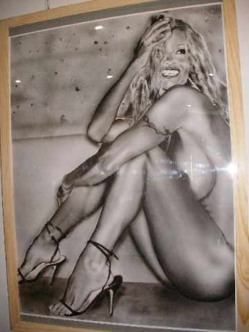 L'artiste julien labarre - Pamela Anderson