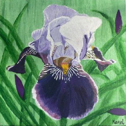 Iris - Peinture - Karol