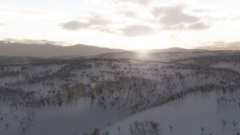 Matin froid d'hiver - Art numerique - Cactus42 Matin froid d'hiver - Art numerique - Cactus42