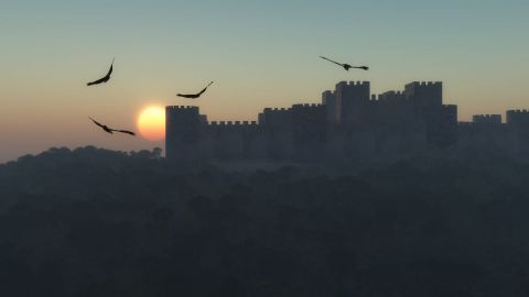 L'artiste Cactus42 - Silence L'artiste Cactus42 - Silence