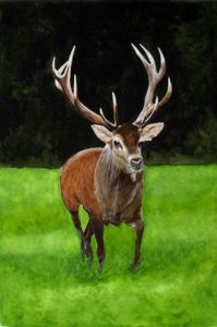 Artiste jacky rouget