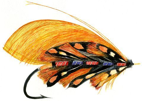 L'artiste jacky rouget - mouches victoriennes