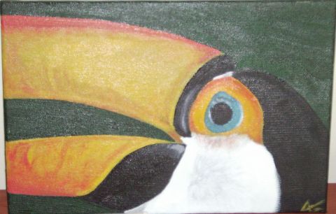 L'artiste AGP - Le toucan d'iguacu