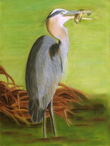 L'artiste jacky rouget - heron