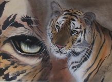 Voir le détail de cette oeuvre: l'oeil du tigre