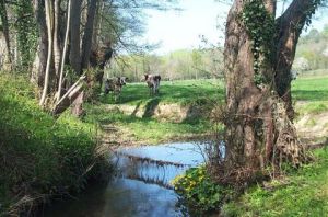 Artiste Isabelle Richet