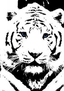 Art_numerique de DManiac: tigre blanc