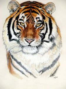 Voir le détail de cette oeuvre: Le tigre de sibérie
