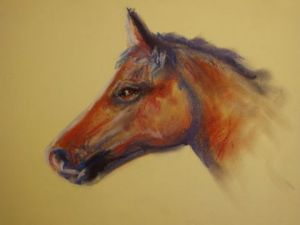 Voir cette oeuvre de Philippe Guillemard: cheval 3 couleurs