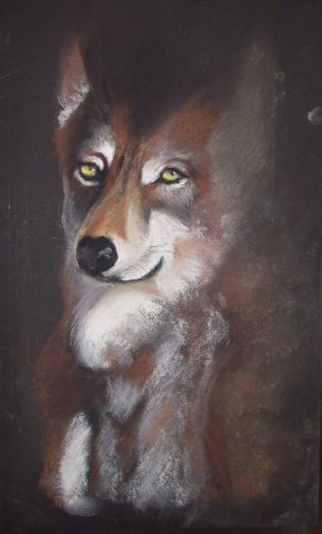 Loup - Peinture - jany de Mougins