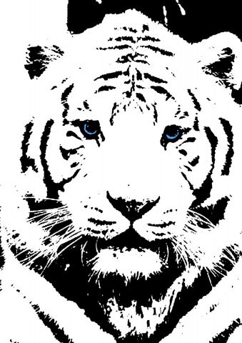tigre blanc - Art numerique - DManiac