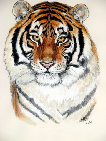 Le tigre de sibérie - Peinture - Alain