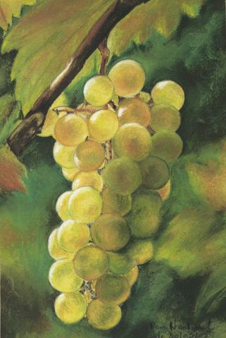 L'artiste domnanteuil - les raisins ... de la gourmandise