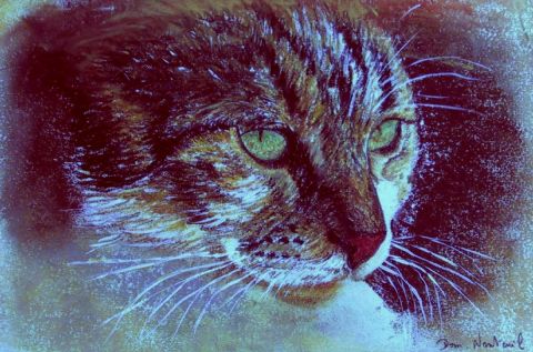 les yeux de Zouzou - Peinture - domnanteuil les yeux de Zouzou - Peinture - domnanteuil