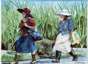 Peinture de Caroline HARDY: En redescendant des champs d'ananas