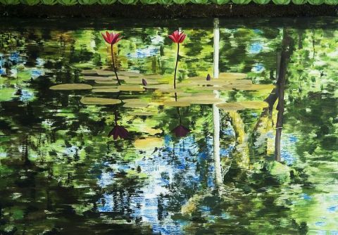 Reflets- Les Bois de couleurs 04 - Peinture - robert paravy