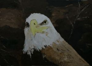 Peinture de Le Champenois: Aigle pygargue à tête blanche