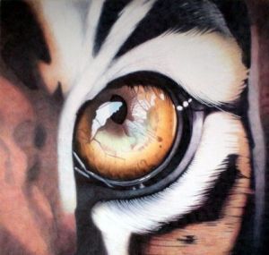 Dessin de Allan Barbeau: L'Oeil du Tigre