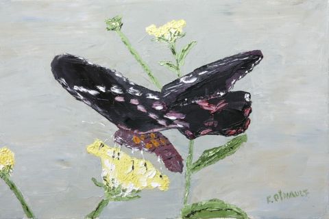 Papillon 6 - Peinture - Le Champenois