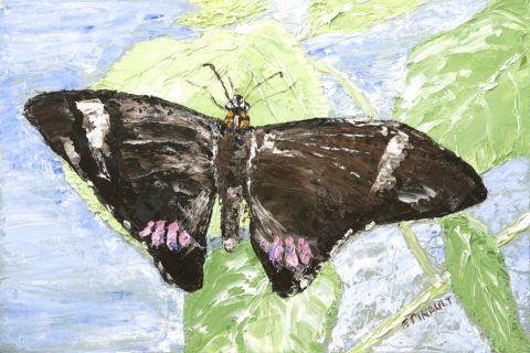 Papillon 5 - Peinture - Le Champenois