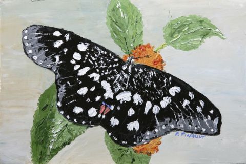 Papillon 4 - Peinture - Le Champenois