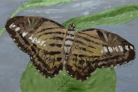 Papillon 3 - Peinture - Le Champenois