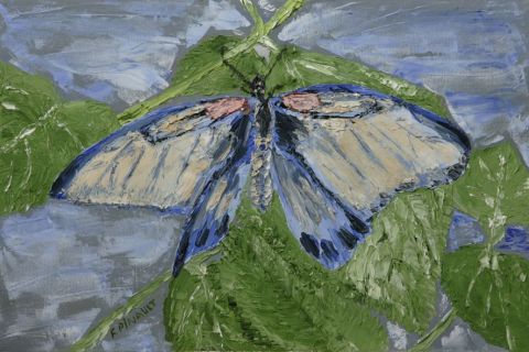 Papillon 2 - Peinture - Le Champenois
