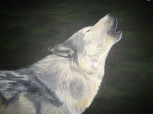 Peinture de lafurette: loup 