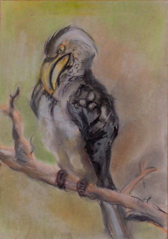 Tok(oiseau africain) - Peinture - Mezei Paul