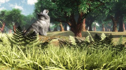 Mon ami le loup - Art numerique - Cactus42 Mon ami le loup - Art numerique - Cactus42