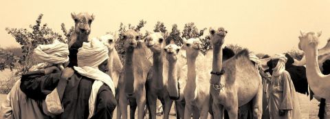 L'artiste chapska - marché aux chameaux