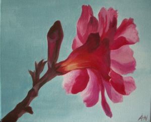 Voir le détail de cette oeuvre: fleur rose