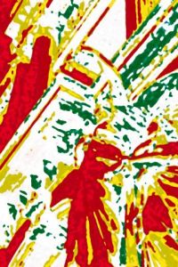 Artiste Le Peintre Photographique