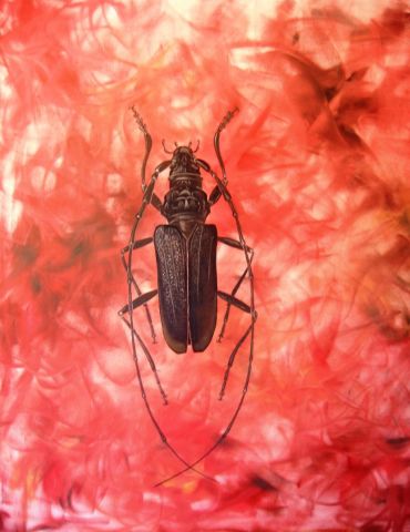 big insect 2 - Peinture - PatouB